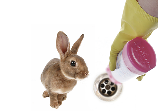 Animal testing products
